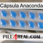 Cápsula Anaconda 22